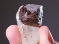 SCHEELITE  on QUARTZ