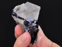 FLUORITE   with GALENA