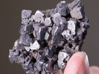 GALENA   with MARCASITE and SPHALERITE