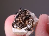 NATIVE SILVER   on CALCITE