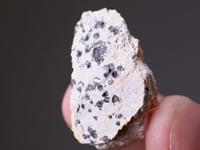 VIHORLATITE