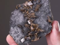 BOULANGERITE   with SIDERITE