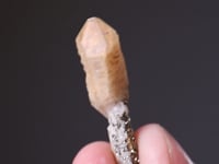 Sceptre QUARTZ   4 pieces