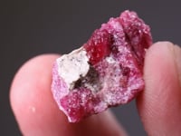GITTINSITE   with EUDIALYTE