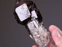 QUARTZ   var.  Smoky Sceptre QUARTZ