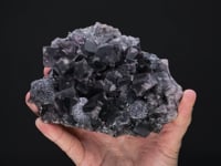 FLUORITE with GALENA