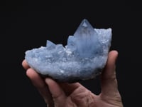 CELESTINE