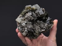 FLUORAPATITE and MUSCOVITE  on SIDERITE