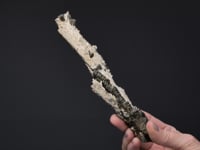 MARCASITE