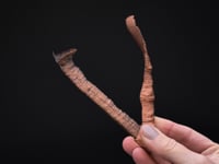NATIVE COPPER   Chisel Chips