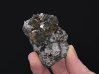 LINNAEITE   with CHALCOPYRITE
