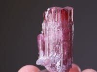 ELBAITE - Tourmaline with LEPIDOLITE