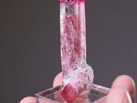 ELBAITE with LEPIDOLITE Tourmaline