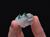 BERYL var. Emerald   on CALCITE