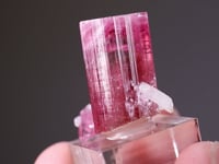 ELBAITE - Tourmaline with QUARTZ and LEPIDOLITE