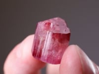 ELBAITE - Tourmaline Double Terminated