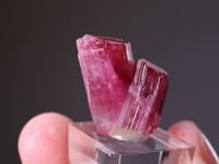 ELBAITE Tourmaline
