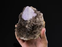 FLUORITE   on Smoky QUARTZ