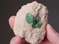 ANDRADITE Var. DEMANTOID
