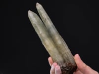 BARYTE