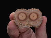 BARYTE Stalactitic Section
