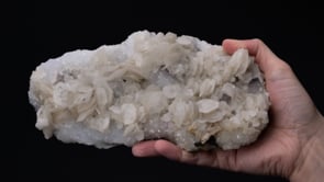 CALCITE with FLUORITE  on QUARTZ