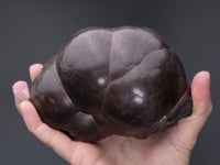 HEMATITE   var. Kidney Ore