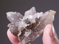 BERTRANDITE   on QUARTZ