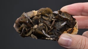 SIDERITE