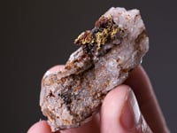 NATIVE GOLD  in QUARTZ