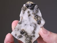 NATIVE GOLD with SPHALERITE  PYRITE and CHALCOPYRITE