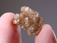 CORREIANEVESITE