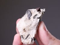 PYROCHLORE with DIOPSIDE  and CALCITE