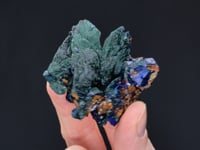 MALACHITE ps. after AZURITE  with AZURITE