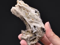 CERUSSITE with PYRITE   and MIMETITE