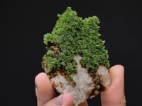 PYROMORPHITE
