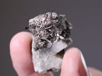 NATIVE SILVER