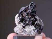 NATIVE SILVER