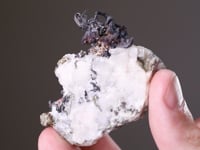 NATIVE SILVER