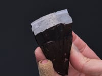 HEMATITE   var. Pencil Ore