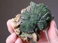 LUDLAMITE   with SIDERITE