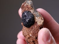 CRONSTEDTITE   on SIDERITE