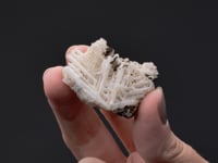 Reticulated CERUSSITE