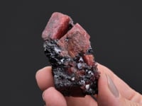 RHODONITE   and GALENA