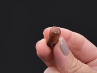 BUSTAMITE