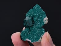DIOPTASE   on CALCITE