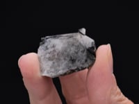 ANGLESITE   with GALENA