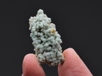 BORACITE