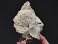 DOLOMITE   cast