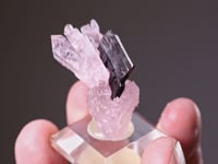 QUARTZ var. ROSE QUARTZ with COLUMBITE
